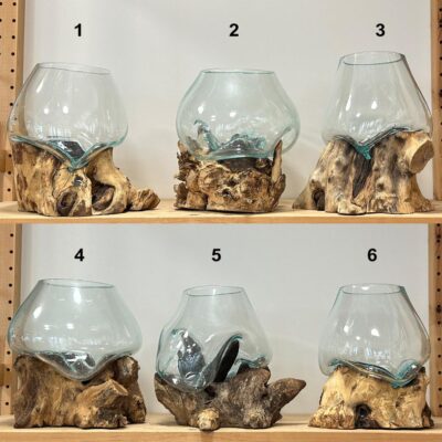 akvarium na dreve konkretny kus na riasogule