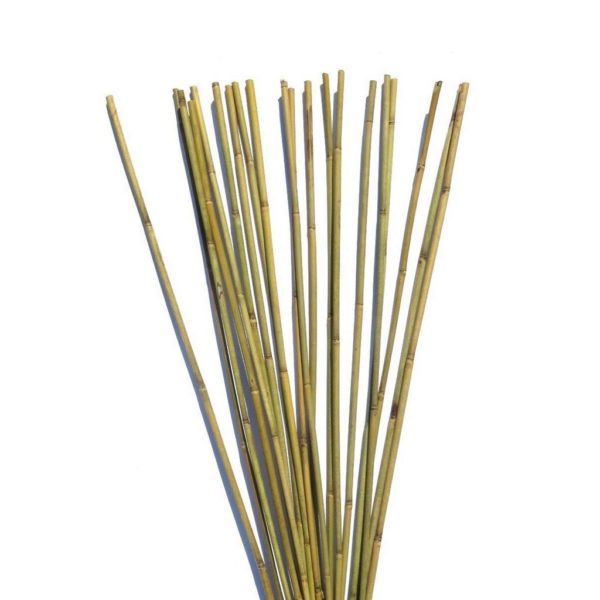bambusova oporna tycka na rastliny plantizia Plantizia.sk