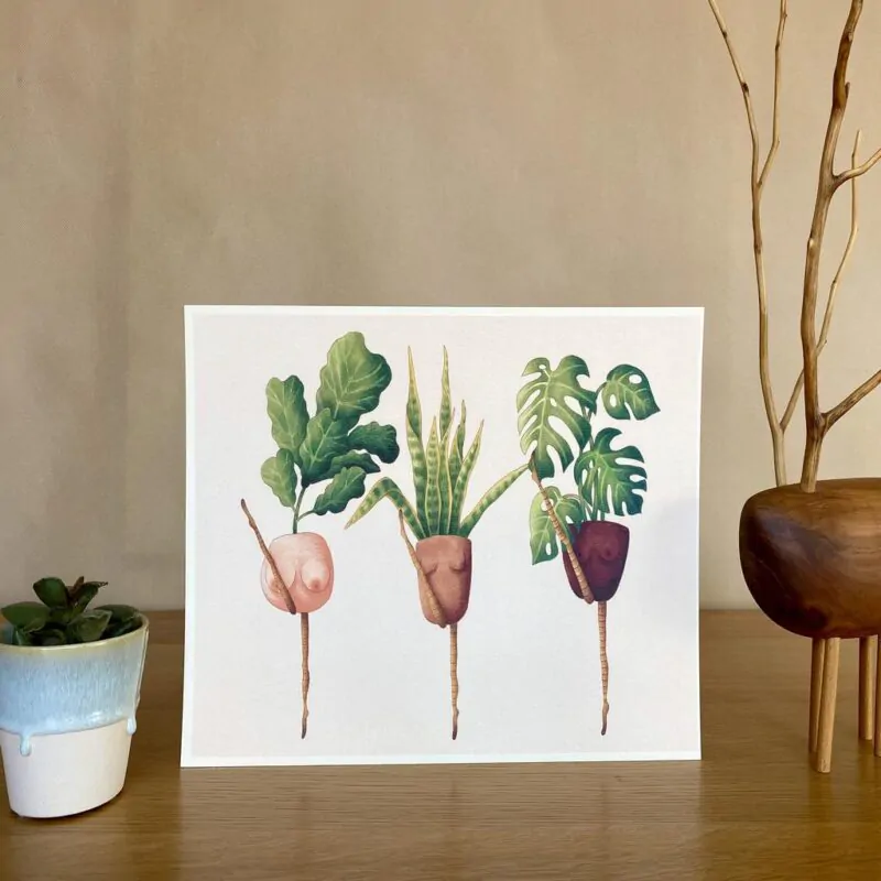 Botanická ilustrácia Črepníkový kankán - Image 2