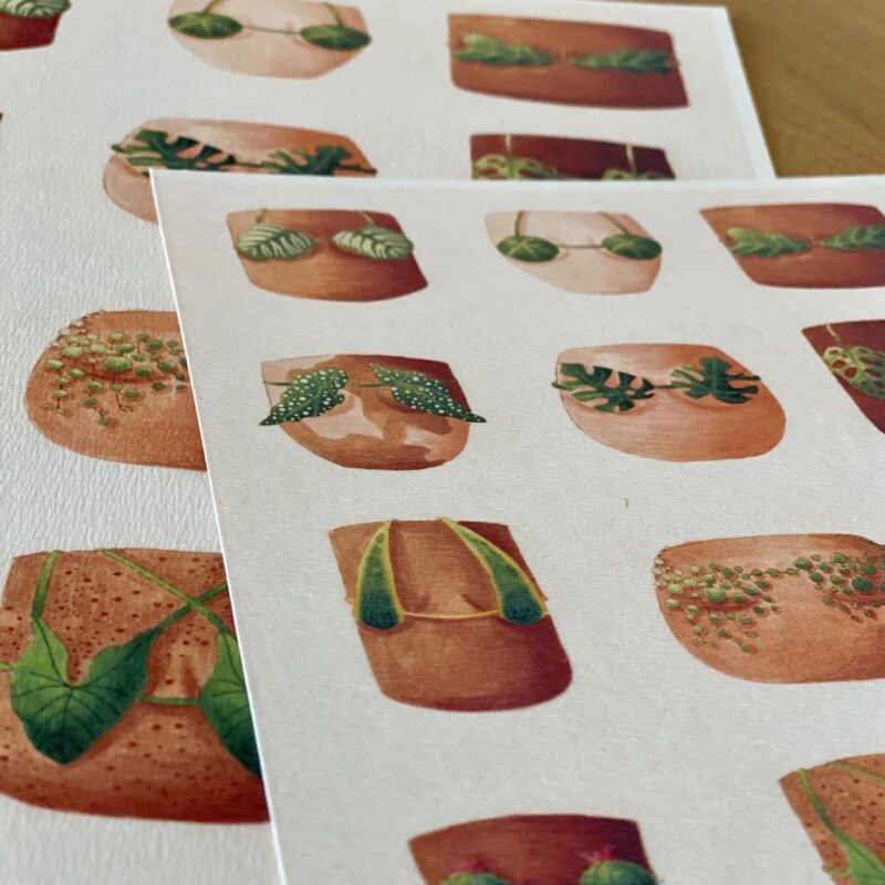 Botanická ilustrácia Letná kolekcia plaviek - Image 4