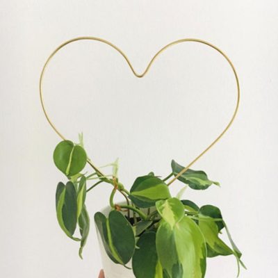 Dizajnová opora na rastliny srdce ručne vyrobená v Českej republike. Vyberte si zo zlatej, striebornej alebo medenej farby,