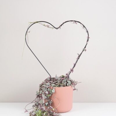 Dekoratívna opora na rastliny srdce dekorativna opora na rastliny srdce kovova oporna tyc ku kvetom