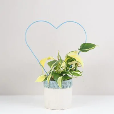 Dekoratívna opora na rastliny srdce dekorativna opora na rastliny srdce kovova oporna tyc ku kvetom