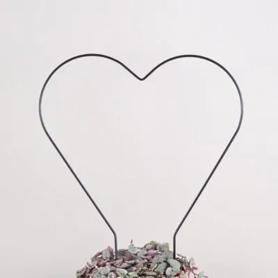 Dekoratívna opora na rastliny srdce dekorativna opora na rastliny srdce kovova oporna tyc ku kvetom