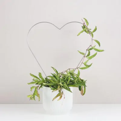 Dekoratívna opora na rastliny srdce dekorativna opora na rastliny srdce kovova oporna tyc ku kvetom