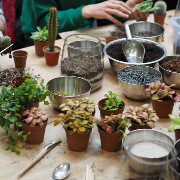 workshop vyroby rastlinneho teraria diy rastlinne terarium florarium