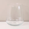 sklenena vaza na riasogule plantizia