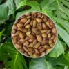 semienka monstera deliciosa semena izbovych rastlin
