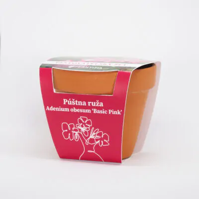 pustna ruza adenium obesum deep ruzova basic pink pestovatelsky set zo semien semienka izbovych rastlin