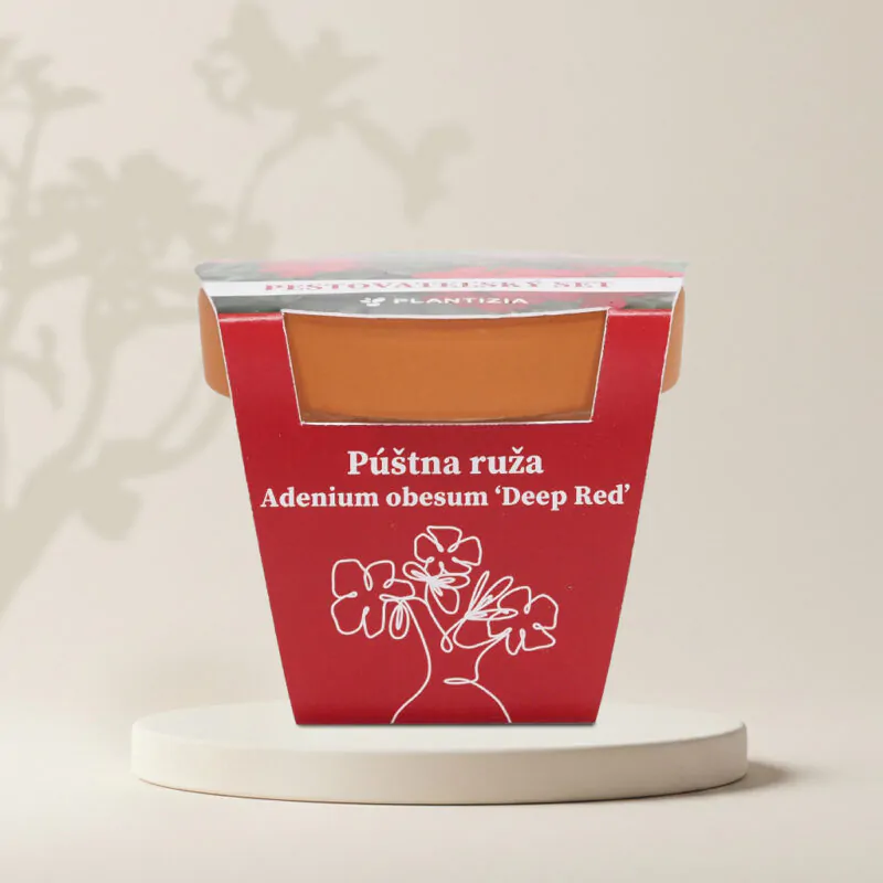 pustna ruza adenium obesum deep red pestovatelsky set zo semien semienka izbovych rastlin