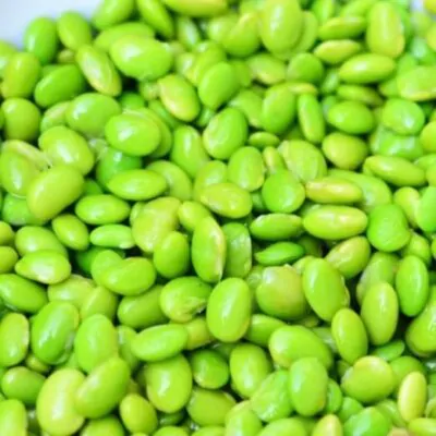 edamame chiba green zeleninova soja semienka dobra semena