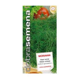 Semienka Kôpor voňavý Moravan 3 g