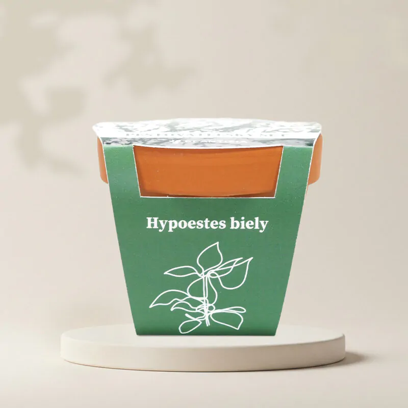 hypoestes biely pestovatelsky set zo semien semienka izbovych rastlin