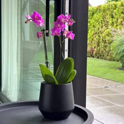 keramicky kvetinac.simple line black 13 cm plantizia 2 Plantizia.sk