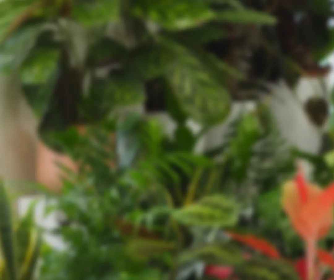 pozadie banner mobile Plantizia.sk