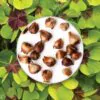 oxalis deppei hluzy pestovanie z hluz izbove rastliny