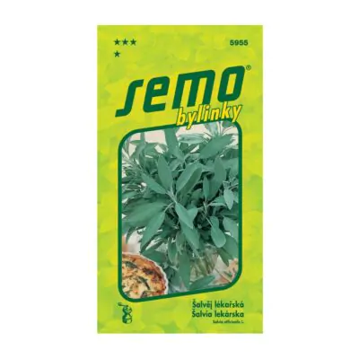 semienka salvia lekarska semo bylinky