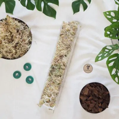 Rastliny potrebujú oporu – opory pre rastliny podporia ich zdravší rast a krajší tvar raselinnikova tyc priehladna pre izbove rastliny opora na rastliny oporna tyc