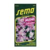 semienka vecernicka primorska spring sparkle semo kvetiny do zahrady