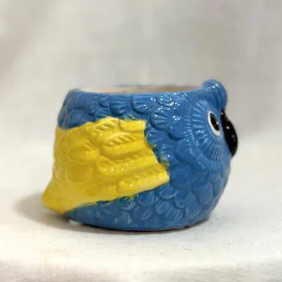 Dekoračný kvetináč Papagáj modrý 6 cm dekoracny kvetinac papagaj modry