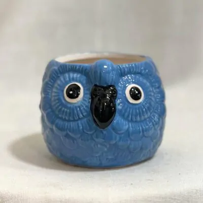 Izbové rastliny, riasogule a príslušenstvo dekoracny kvetinac papagaj modry