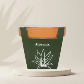 Pestovateľský set Aloe mix