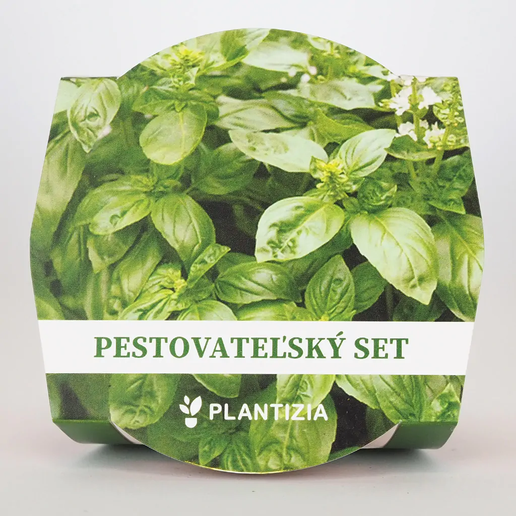 Pestovateľský set Bazalka pravá pestovatelsky set bazalka prava semienka semena byliniek rastlin