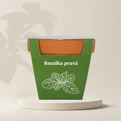 pestovatelsky set bazalka prava semienka semena byliniek rastlin