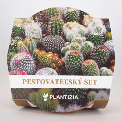 pestovatelsky set kaktusy mix semienka zmes kaktusov a sukulentov pestovanie zo semien izbovych rastlin