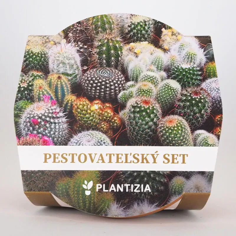 pestovatelsky set kaktusy mix semienka zmes kaktusov a sukulentov pestovanie zo semien izbovych rastlin