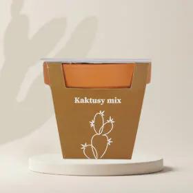 Pestovateľský set Kaktusy mix