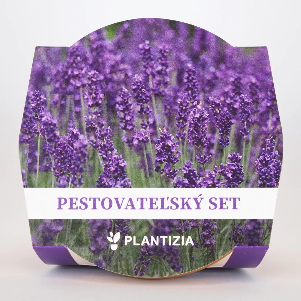Pestovateľský set Levanduľa lekárska semienka levandula lekarska lavandula angustifolia zo semien semena byliniek pestovatelsky set