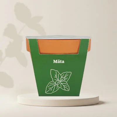 pestovatelsky set mata mentha sp bylinky zo semien semienka rastlin