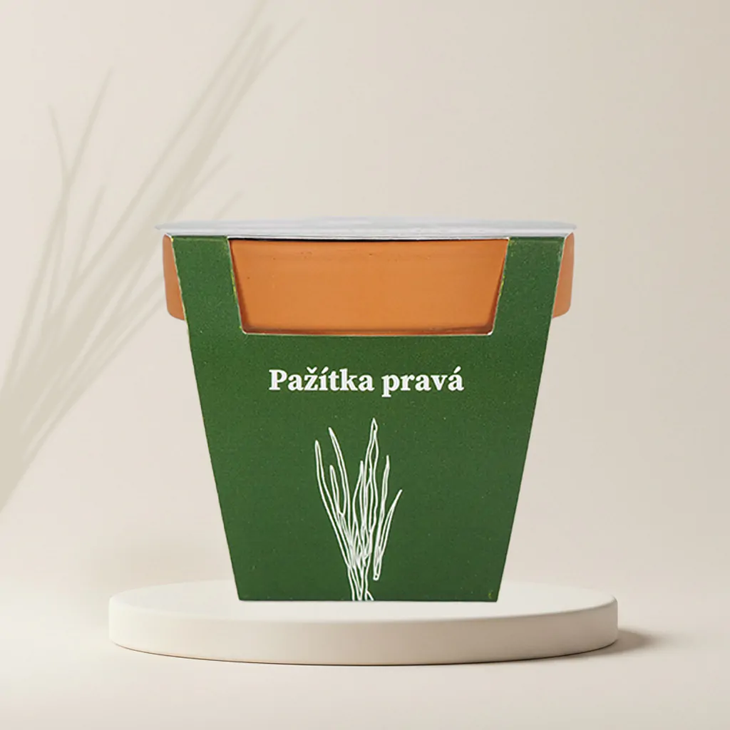 Pestovateľský set Pažítka pravá