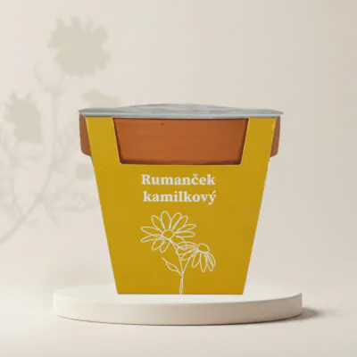 pestovatelsky set semienka rumancek kamilkovy harmancek zo semien bylinka