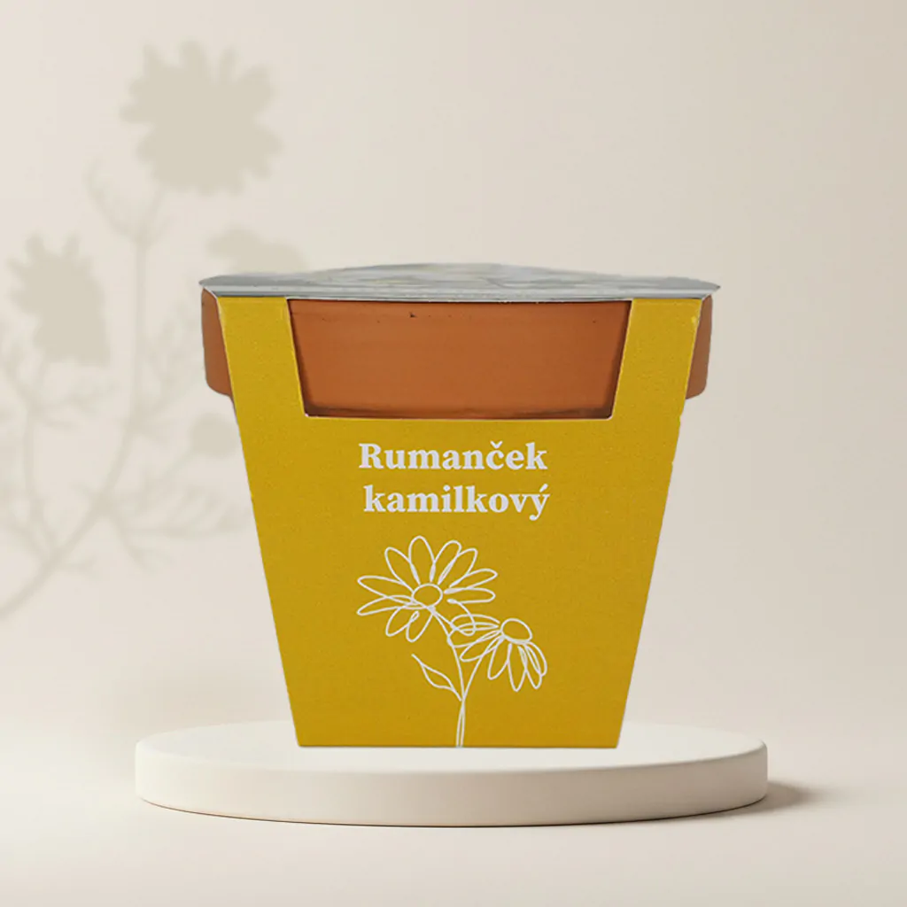 Pestovateľský set Rumanček kamilkový