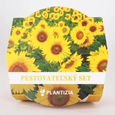 semienka slnecnica pestovatelsky set semienka kvetov pestovanie zo semien