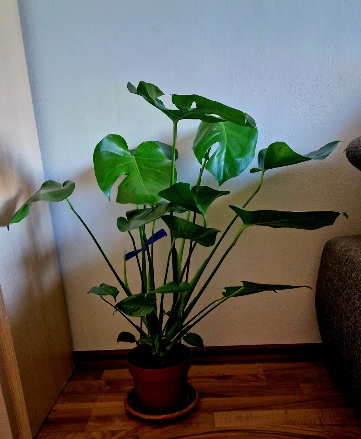 Image #1 from Petra R.