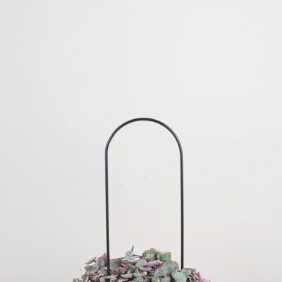 Dekoratívna opora na rastliny oblúk malý dekorativna opora pre rastliny obluk maly kovova oporna tyc ku kvetom