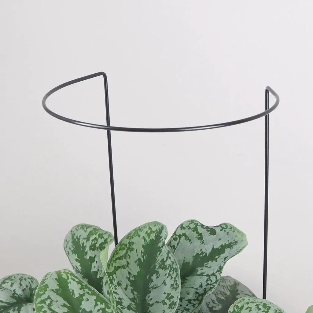 Dekoratívna opora na rastliny obruč Ø 20 cm dekorativna opora pre rastliny obruc kovova oporna tyc ku kvetom