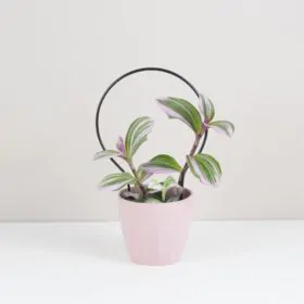 Dekoratívna opora na rastliny kruh malý