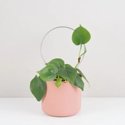 dekorativna opora pre rastliny kruh maly kovova oporna tyc ku kvetom