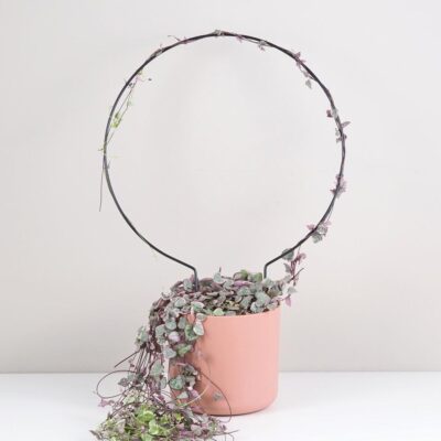 Dekoratívna opora na rastliny kruh veľký dekorativna opora pre rastliny kruh velky kovova oporna tyc ku kvetom