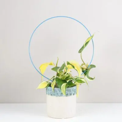 Dekoratívna opora na rastliny kruh veľký dekorativna opora pre rastliny kruh velky kovova oporna tyc ku kvetom