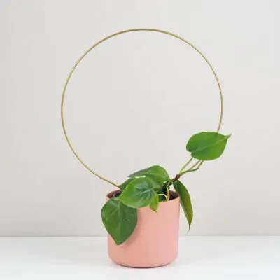 Dekoratívna opora na rastliny kruh veľký dekorativna opora pre rastliny kruh velky kovova oporna tyc ku kvetom