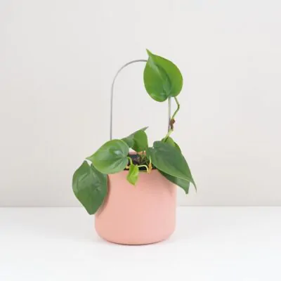 Dekoratívna opora na rastliny oblúk malý dekorativna opora pre rastliny obluk maly kovova oporna tyc ku kvetom