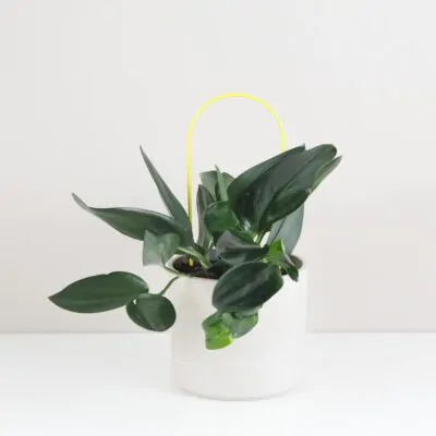 Dekoratívna opora na rastliny oblúk malý dekorativna opora pre rastliny obluk maly kovova oporna tyc ku kvetom