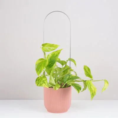 Dekoratívna opora na rastliny oblúk veľký dekorativna opora pre rastliny obluk velky kovova oporna tyc ku kvetom