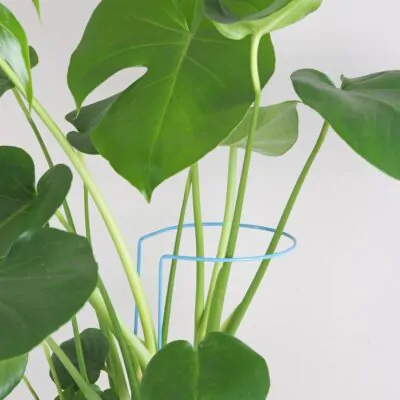 Dekoratívna opora na rastliny obruč Ø 14 cm dekorativna opora pre rastliny obruc kovova oporna tyc ku kvetom