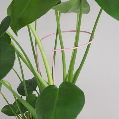 Dekoratívna opora na rastliny obruč Ø 14 cm dekorativna opora pre rastliny obruc kovova oporna tyc ku kvetom